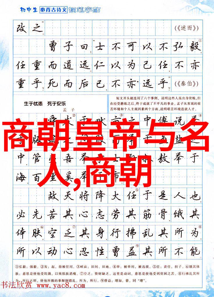 宋朝相关历史内容-北宋至南宋的变迁与繁荣一个古老帝国的兴衰史