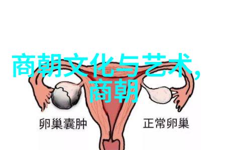 明朝那些事儿时光荏苒帝王辉煌与民间风情