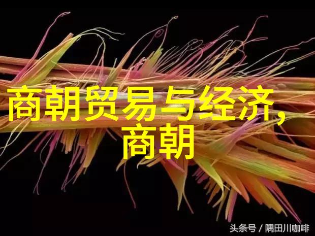 明代宫女谋杀-紫禁城中的暗影一场宫廷阴谋的真相