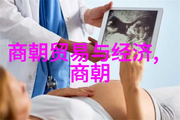 秦汉至唐宋中华文明的巅峰之作中国朝代发展简介