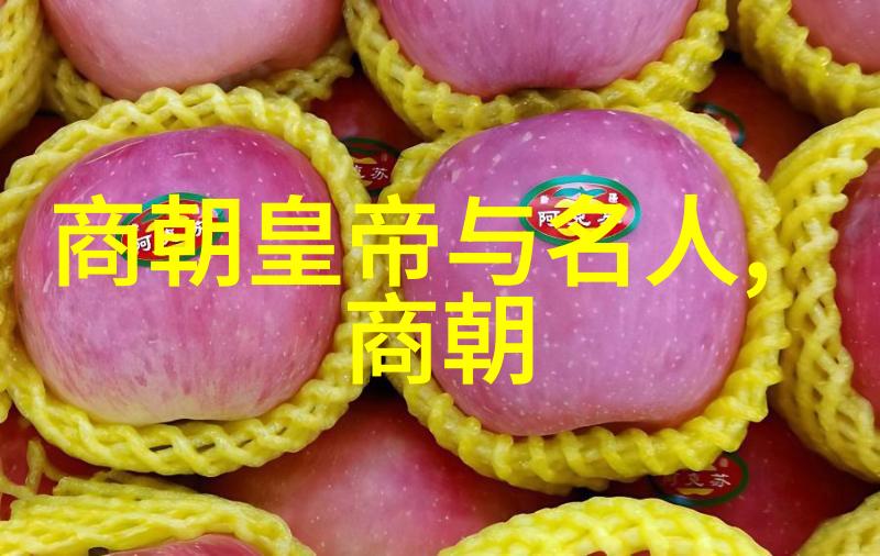 从炎帝到清朝中国历史文化的长篇大戏笑谈朝代顺序