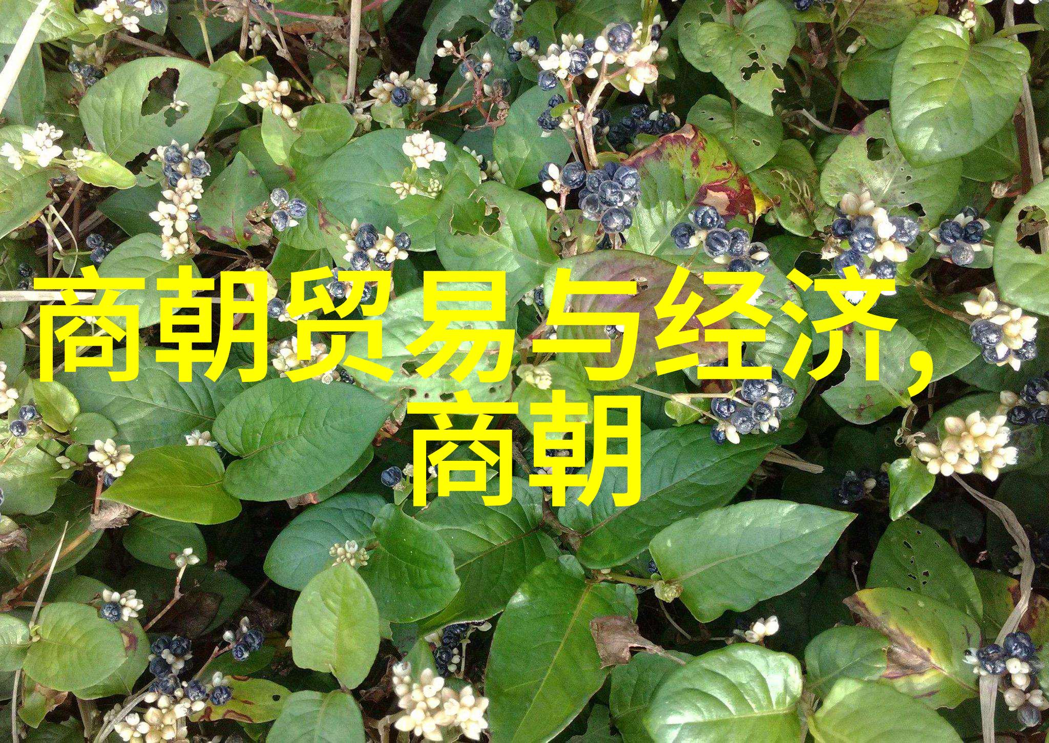 朱允文妻子之谜