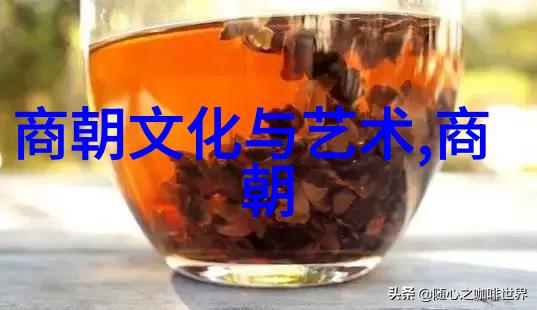 南宋历史的光辉篇章一览历代君王与其政绩