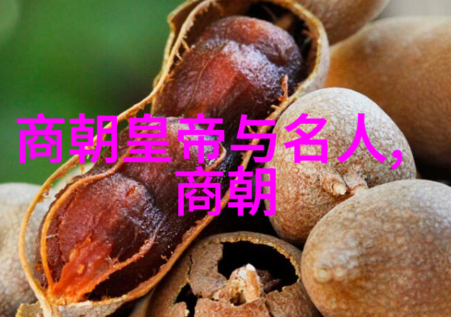 元代对中国文化的影响与融合