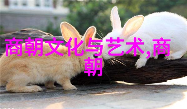 穿越时空的故事中国神话故事全文探索