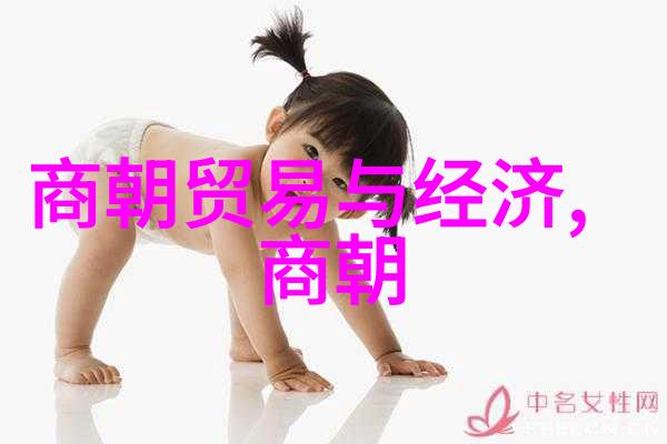 元朝与蒙古帝国的领土差异有哪些方面