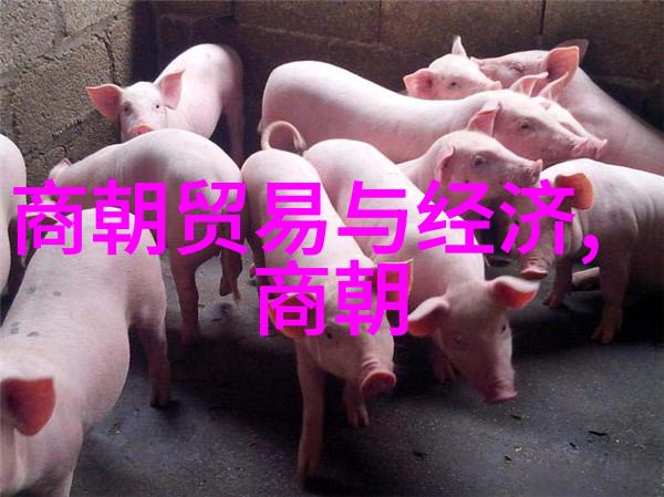 古代先王的足迹探索比夏朝早的三大文明遗址
