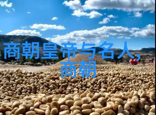 蒙古帝国征服中国过程中遇到了哪些挑战