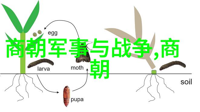 明朝风云录揭秘历史之谜与传说