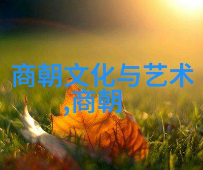 后继之谜努尔哈赤的篡位选择与多尔衮的遗落命运