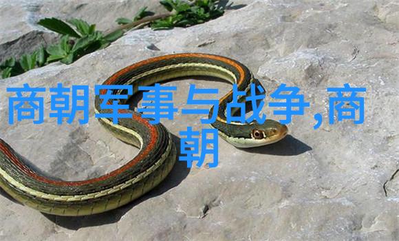 从神州大地到紫禁城明朝的阴影与光辉
