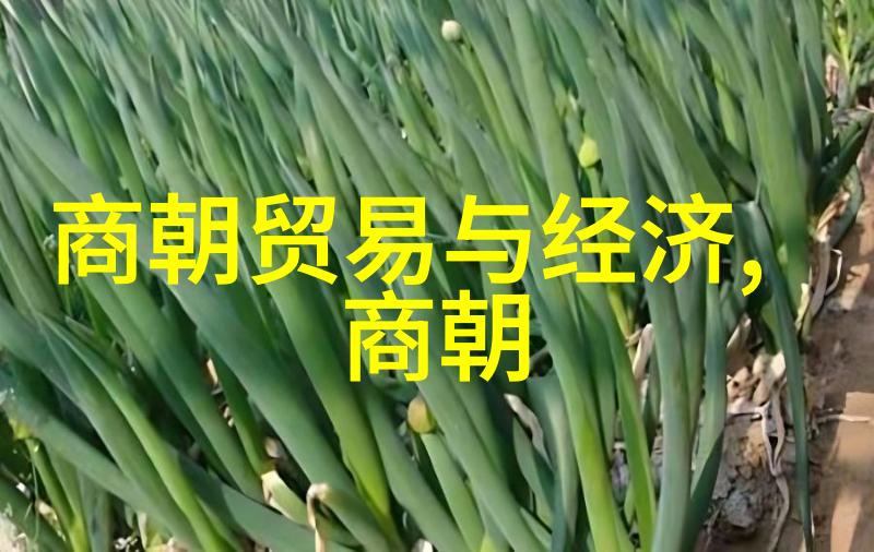 元代文人墨客与皇权的纠葛探秘金庸笔下的明月宝剑