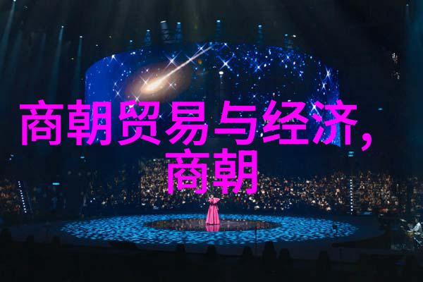 辽金未入正史之谜历史记载与帝王荣耀的角逐