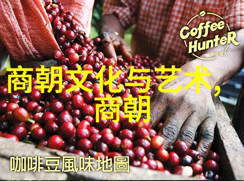 明朝那些事儿MP3全集下载王更新带你回溯历史