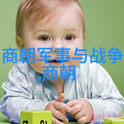明朝历史地图时空之旅的秘密篇章