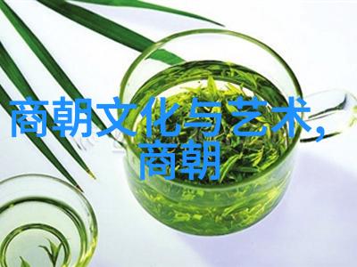 明朝哪些帝王在历史排名中脱颖而出
