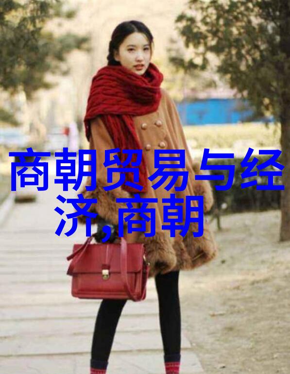 明朝的辉煌王朝盛世与历史转折