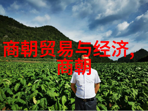 明朝梦回头穿越时空的怀旧与现实