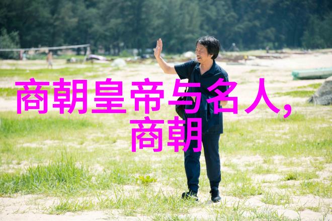 宋代历史风云北宋灭亡与南宋复兴的辉煌与挫折