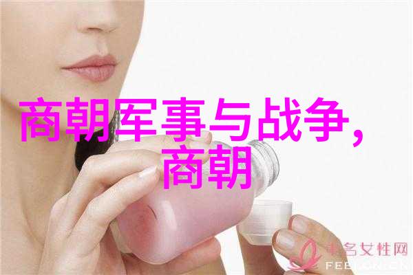 元朝的故事蒙古骑兵的中国梦