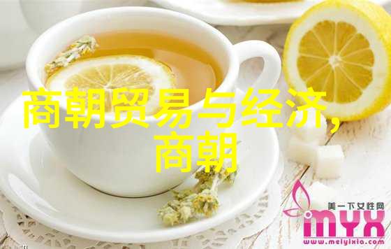 明代风云朱棣北伐与永乐之治