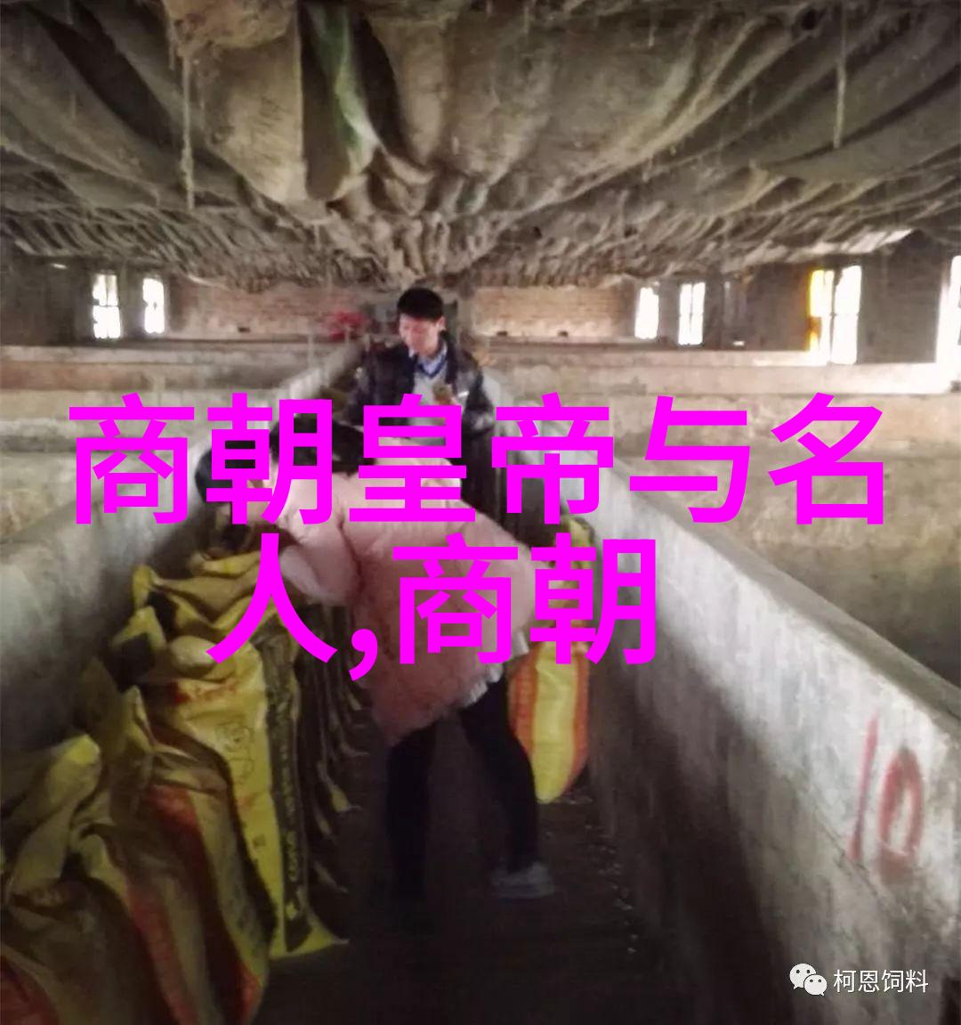 在2023年察合台(11831241)的故事又被提及了但你知道吗有没有清朝人呢