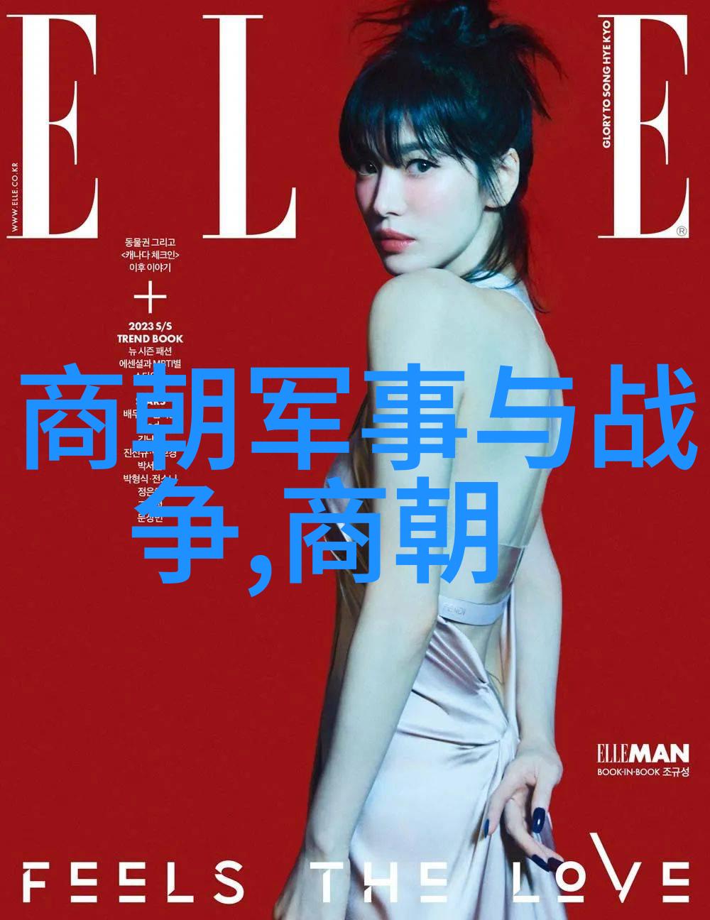 中世纪权力游戏博果尔之母身份何在