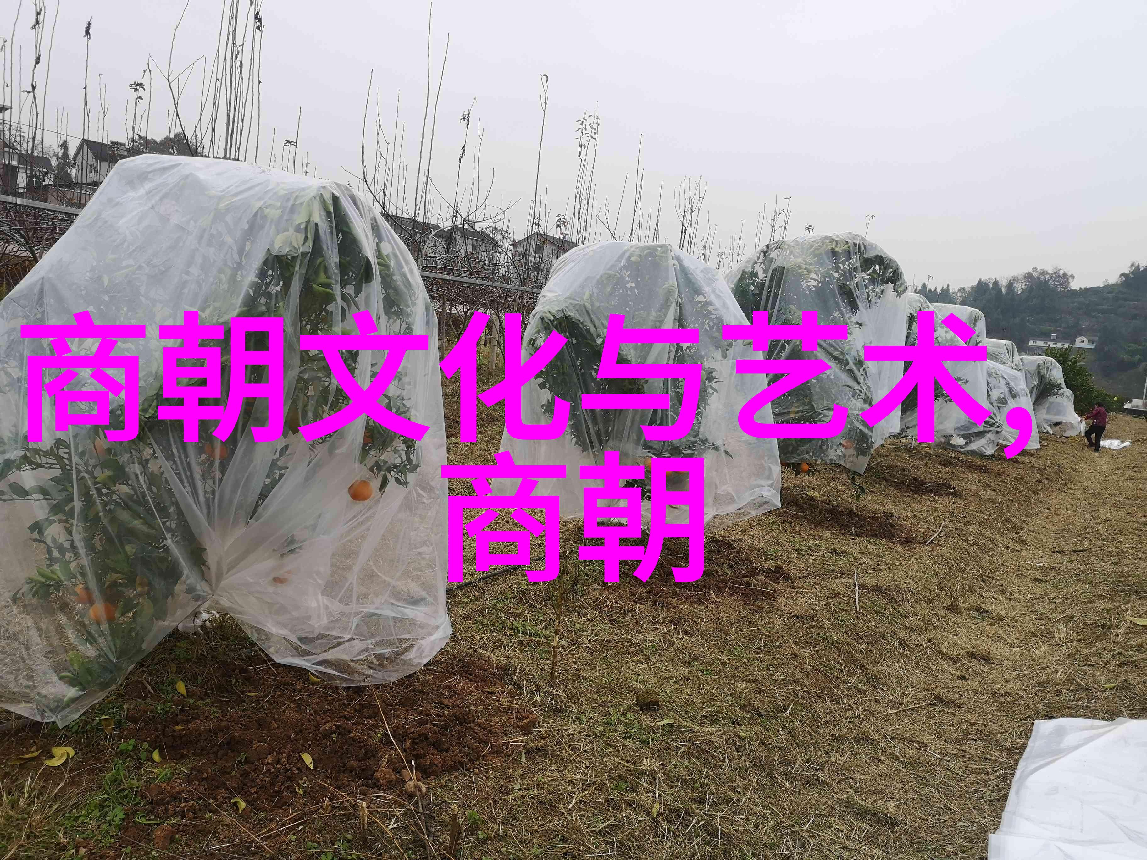 明朝皇帝在文化艺术方面有哪些贡献