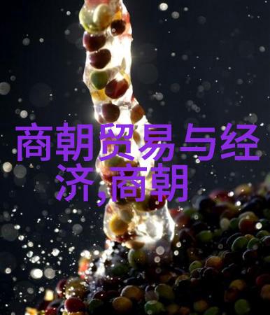 明朱常洛之死与福王不继一场未遂的权力交接