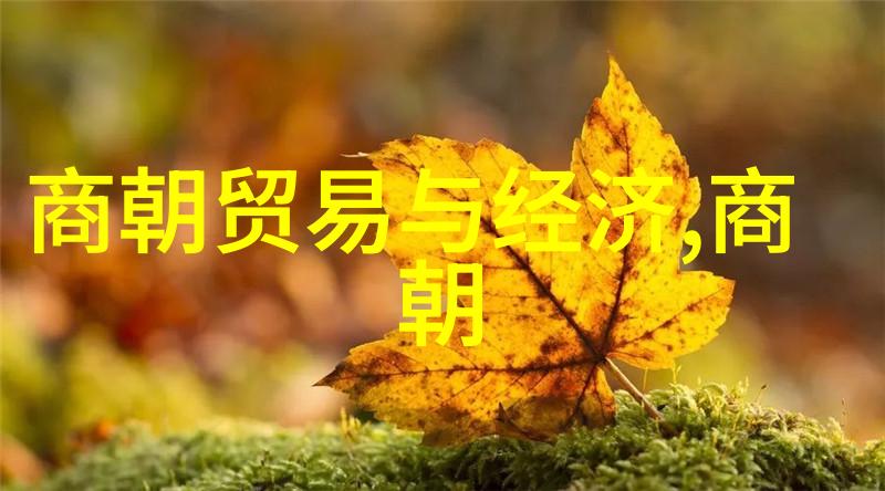 中国历史上的辉煌篇章宋朝的崛起与专家的赞赏
