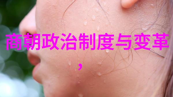 河南豫剧打金枝全集张燕演绎经典