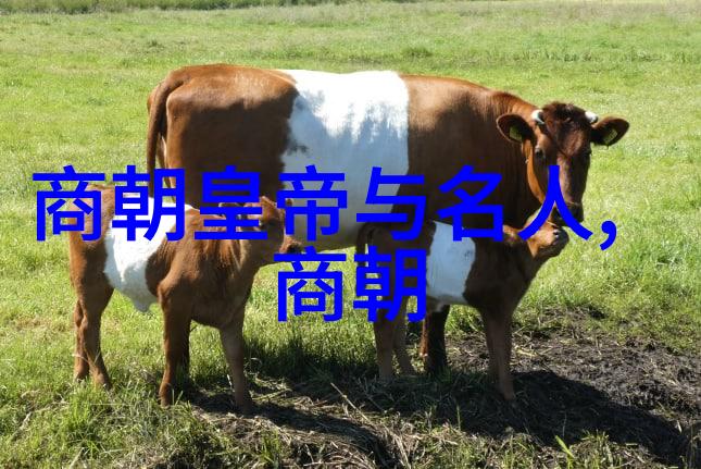 明朝覆灭之谜昏君统治下的衰败原因探究