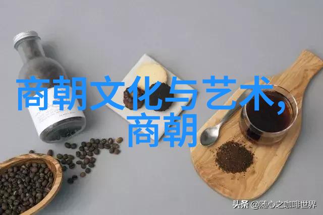 东华盛世的覆灭历史沉思录