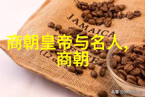 宝宝我做楼梯吧嗯好欢迎你-亲子共筑梦创意楼梯工程的奇妙旅程