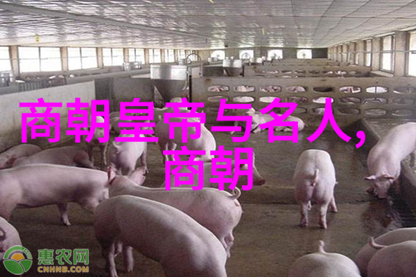 明朝16位帝王的继承人他们的故事从丰台到天子阁