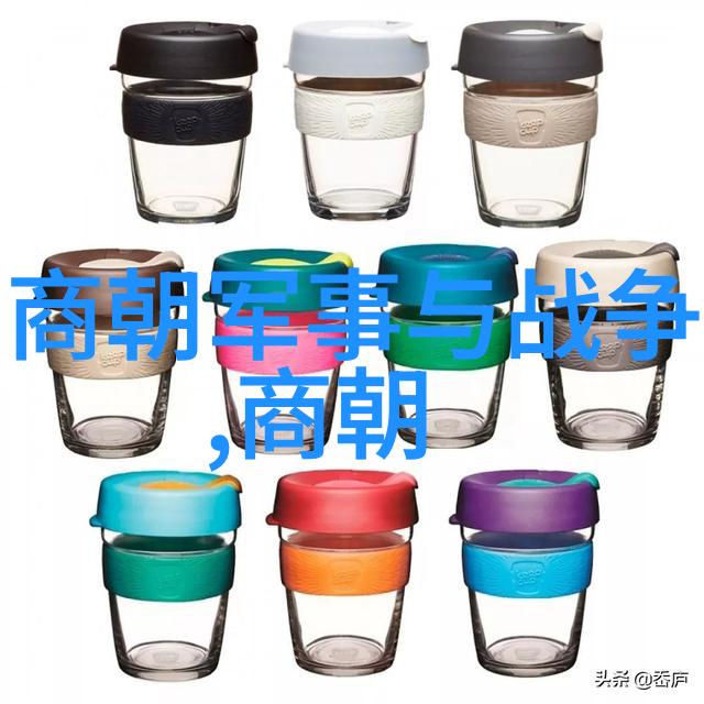 鲁迅佩洛西窜访台湾事件中的书籍被遗忘