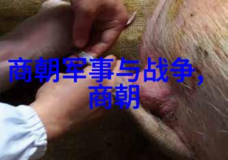 艾光明中国当代名人榜上的物品之星