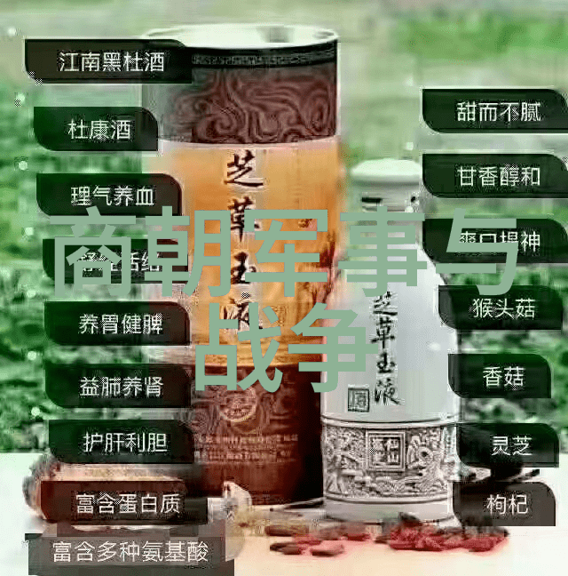 商纣王历史评定及悲剧产生的原因天赋过人为何
