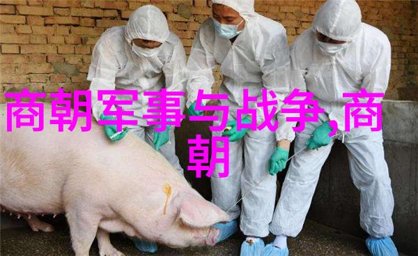 人教版中考历史重点知识归纳总结精炼历史纲要助力学子成长