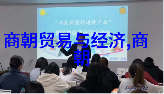 明朝煌烂历程王振之死与政治风云变迁