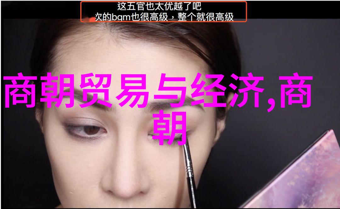 明朝那些事儿演员们的历史穿梭