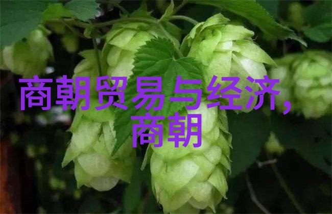 清末民初为何会出现满清尽去的民族危机