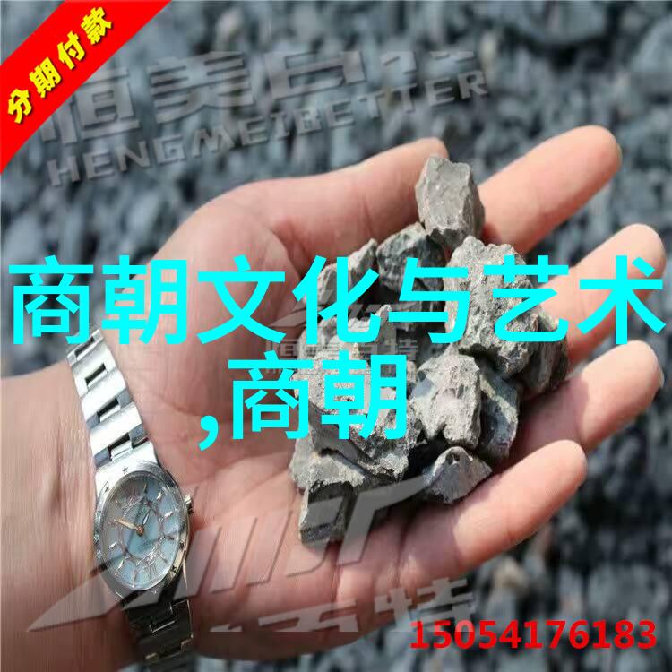 书法家王羲之的故事视频鲁进财的墨水之旅