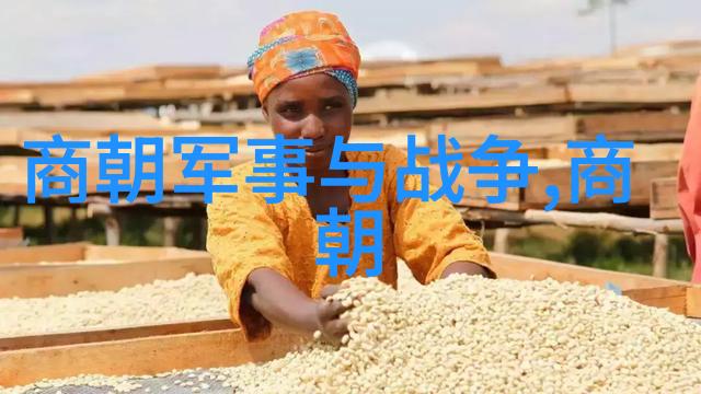 宋代史料探究解读古籍与碑刻中的历史真相