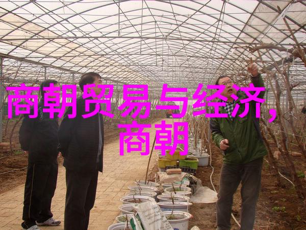 张定边两晋南北朝名将中的闪电战士
