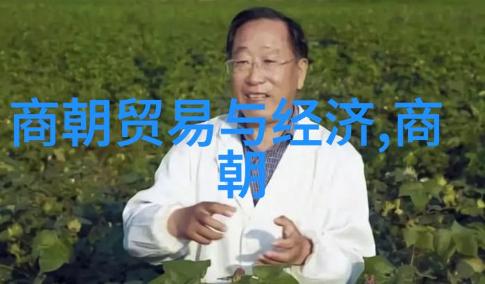 探秘古埃及法老陵墓的神秘故事