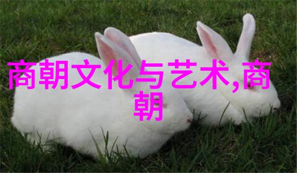 历史探秘我为啥爱上那些古老的唐朝故事