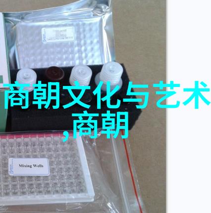 御街金辉元朝繁华诗篇