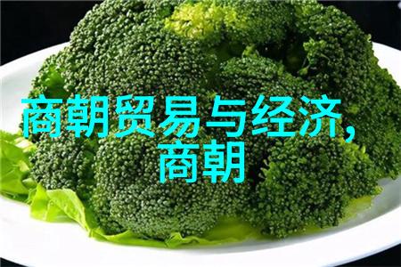 明初统一战争中如何看待南宋和元蒙之间的情报战