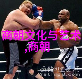 忽必烈的传奇一生 - 蒙古帝国的东扩与文化繁荣